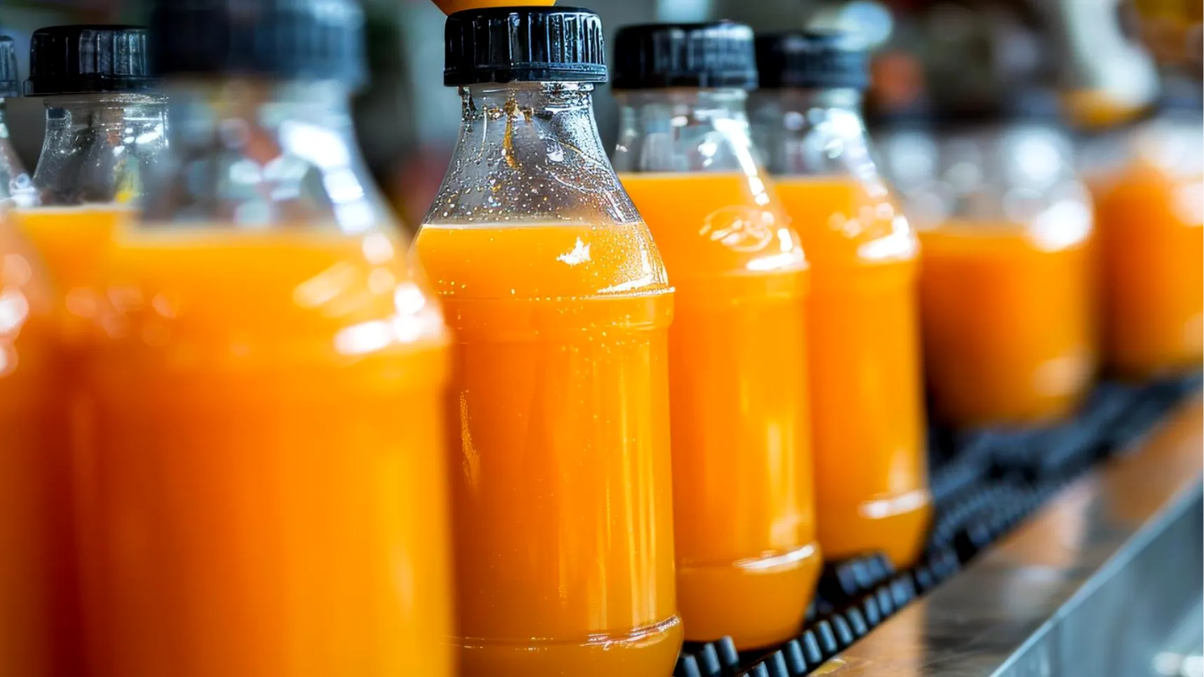 Fruit Juice Processing Plant: From Raw Fruit to Bottled Product — A Complete Business & Setup Guide - Technical Insight